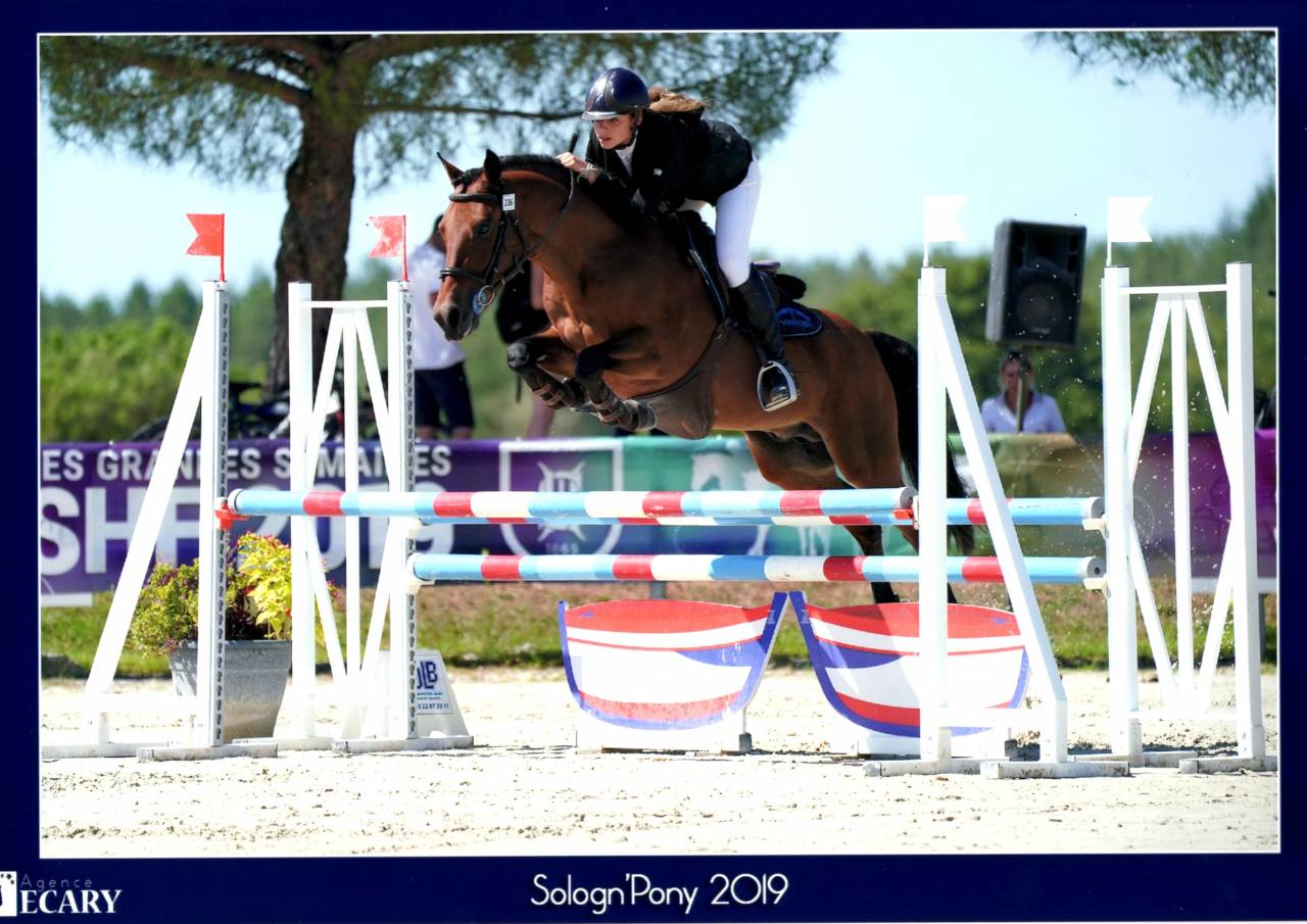 LEAO - New Forest 2014 ,  Ashdene Cock ROBIN (GBR)