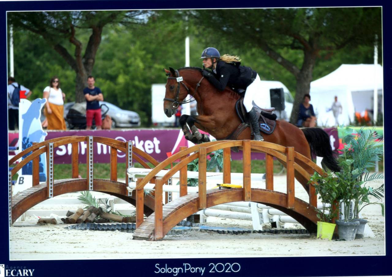 LEAO - New Forest 2014 ,  Ashdene Cock ROBIN (GBR)