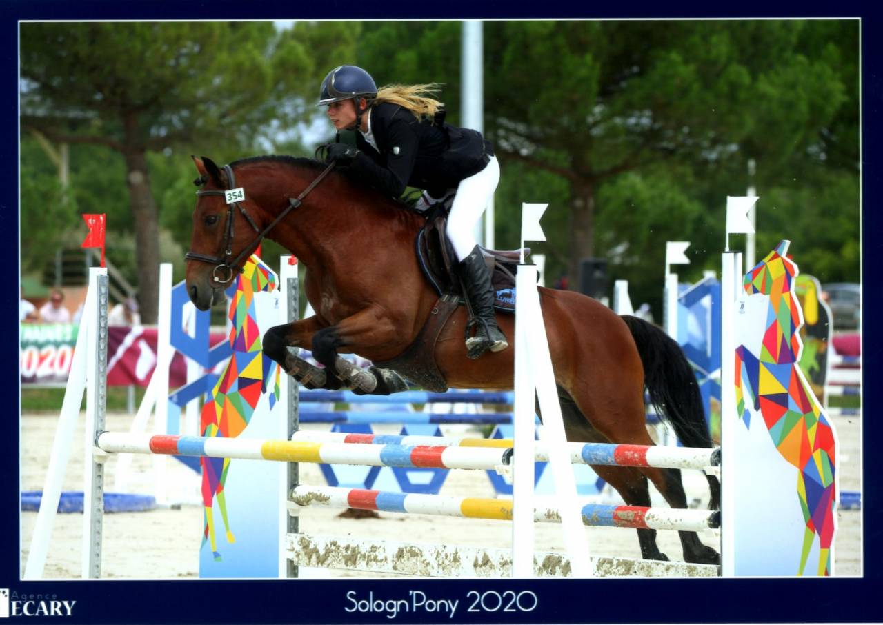 LEAO - New Forest 2014 ,  Ashdene Cock ROBIN (GBR)