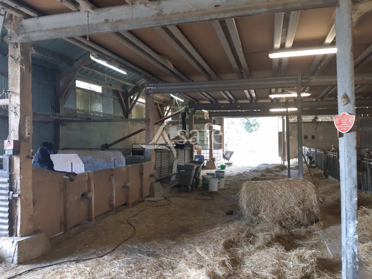 Azienda agricola In vendita Sarthe