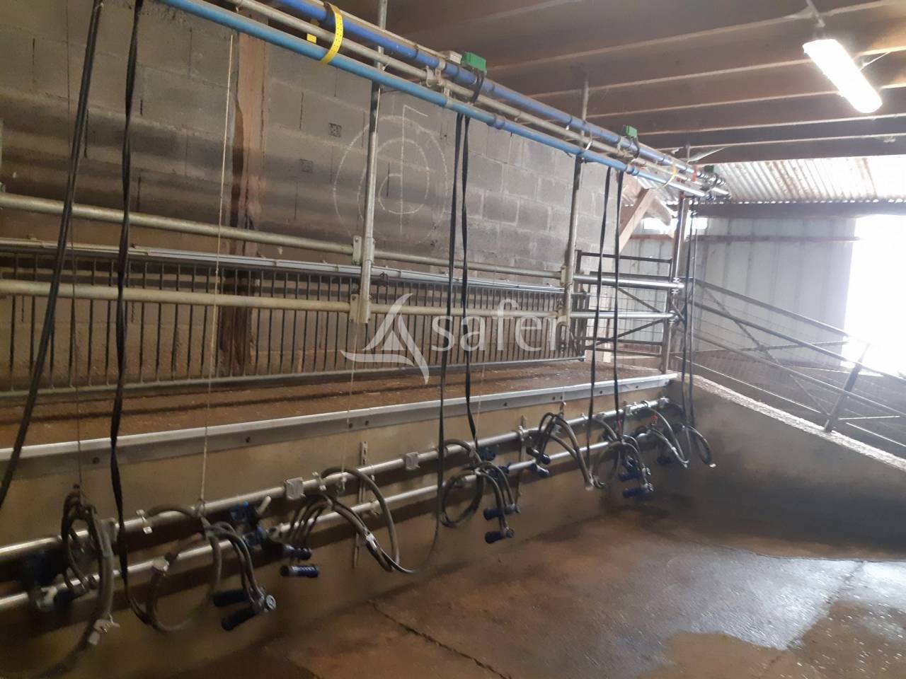 Azienda agricola In vendita Sarthe