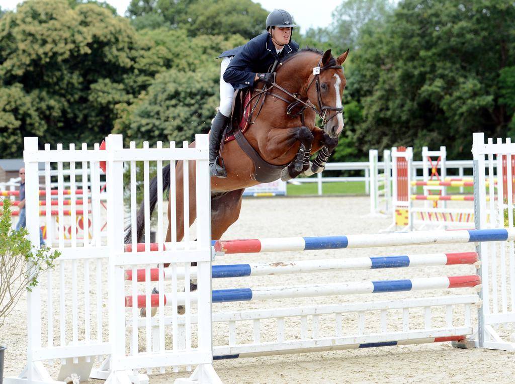 Uncognito bois margot  - Sella Francese 2008 ,  l'arc de triomphe