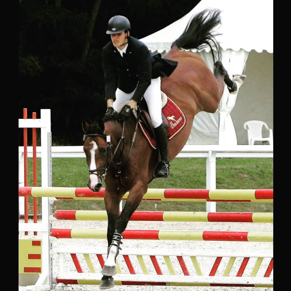 Uncognito bois margot  - Sella Francese 2008 ,  l'arc de triomphe