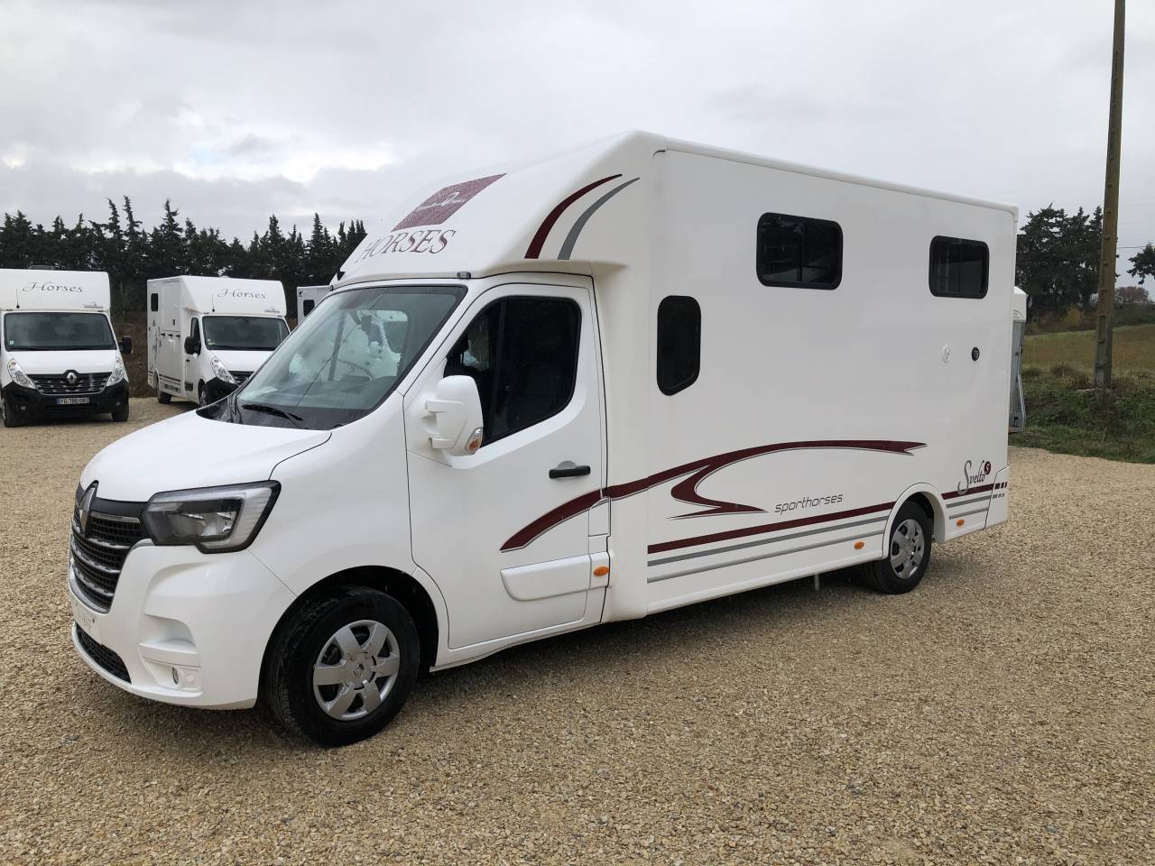 Van per Cavalli Trans Box SVELTO 5 S 2024 Nuovo