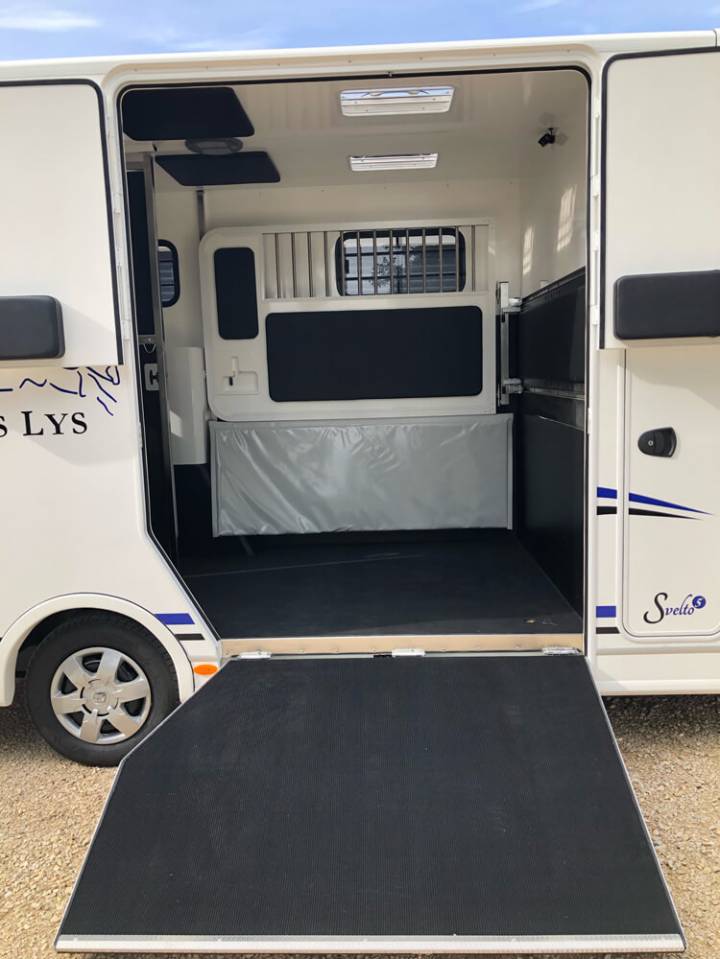 Van per Cavalli Trans Box SVELTO 5 S 2024 Nuovo