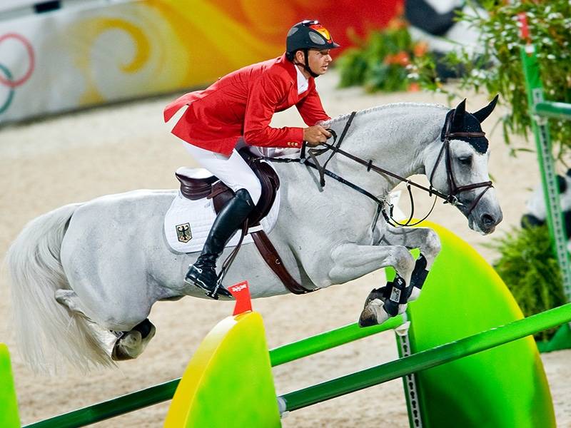 Cornet Obolensky - BWP Cavallo da Sangue Belgio 1999 ,  CLINTON