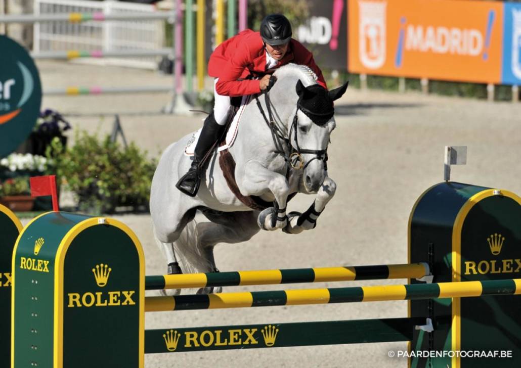 Cornet Obolensky - BWP Cavallo da Sangue Belgio 1999 ,  CLINTON