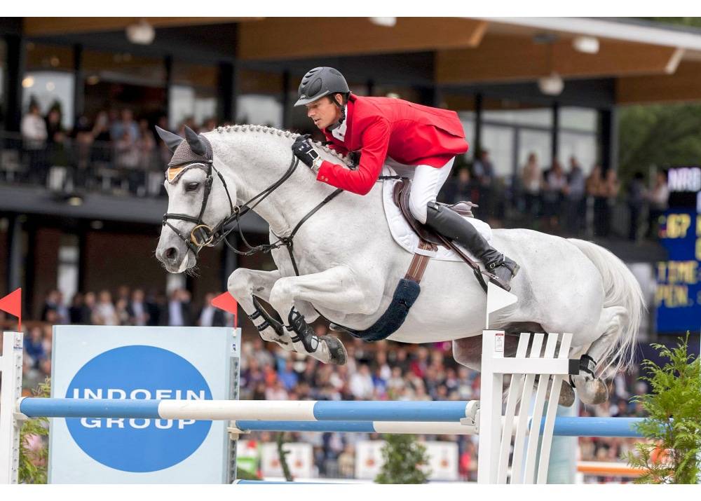 Cornet Obolensky - BWP Cavallo da Sangue Belgio 1999 ,  CLINTON