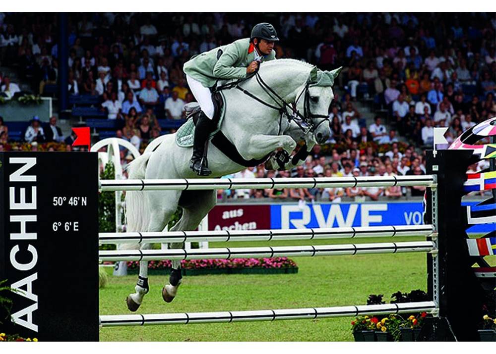 Cornet Obolensky - BWP Cavallo da Sangue Belgio 1999 ,  CLINTON