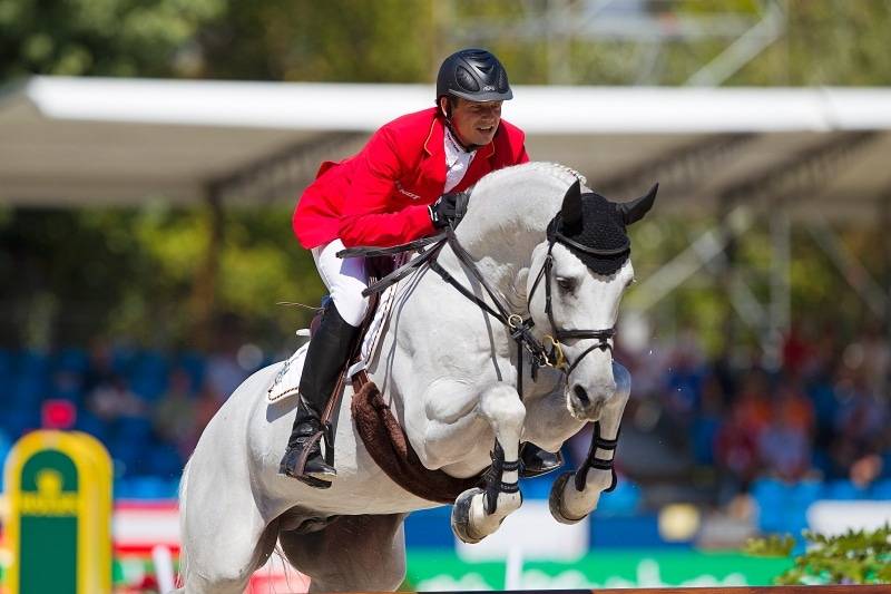 Cornet Obolensky - BWP Cavallo da Sangue Belgio 1999 ,  CLINTON