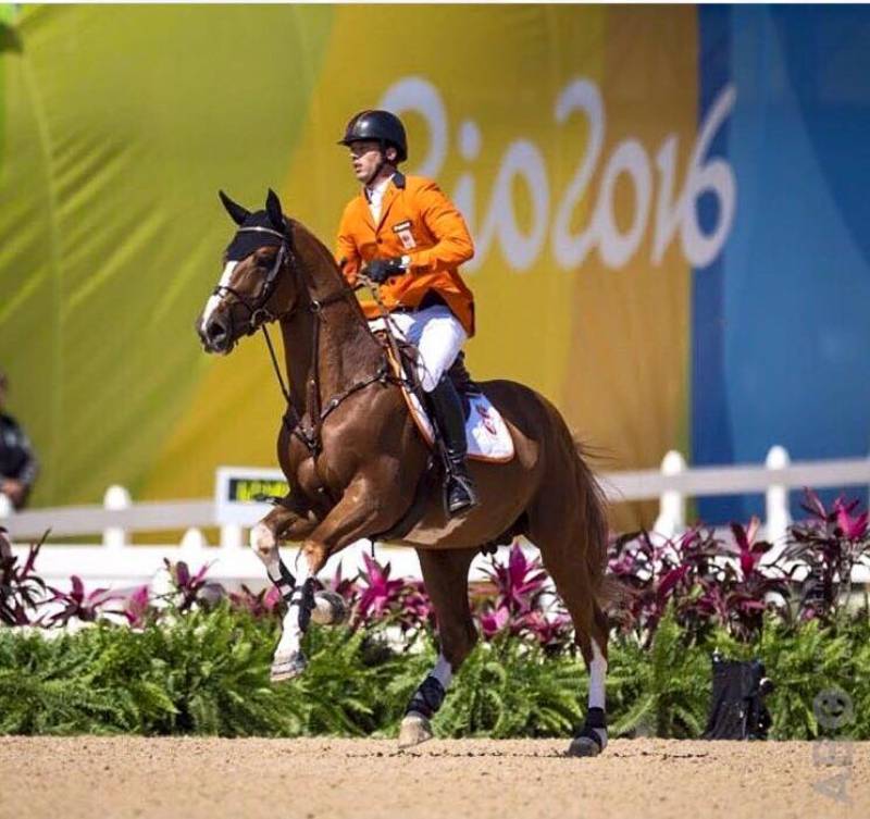 Emerald - BWP Cavallo da Sangue Belgio 2004 ,  DIAMANT DE SEMILLY