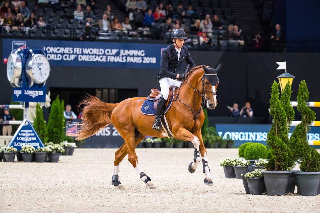 Emerald - BWP Cavallo da Sangue Belgio 2004 ,  DIAMANT DE SEMILLY