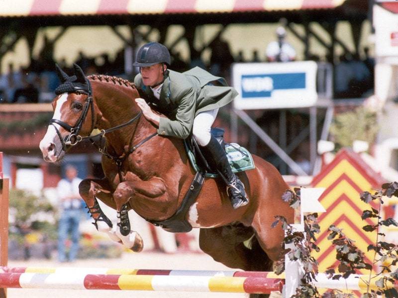 For Pleasure - Hanovrien 1986 ,  Furioso II