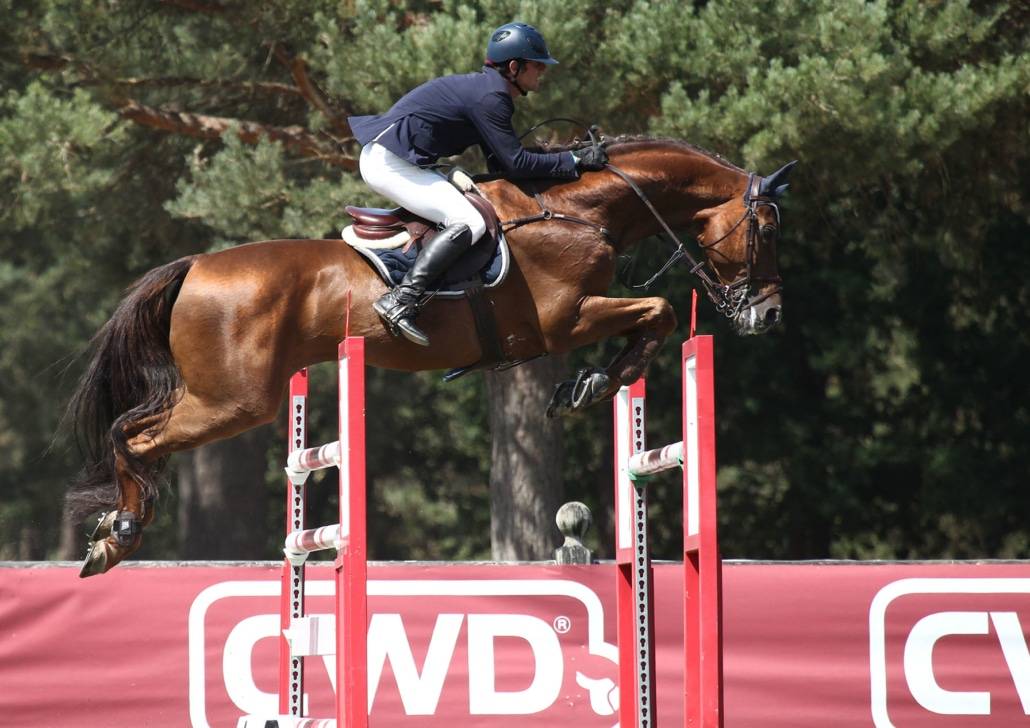 Gastronom de Hus - Zangersheide 1999 ,  Carthago Z