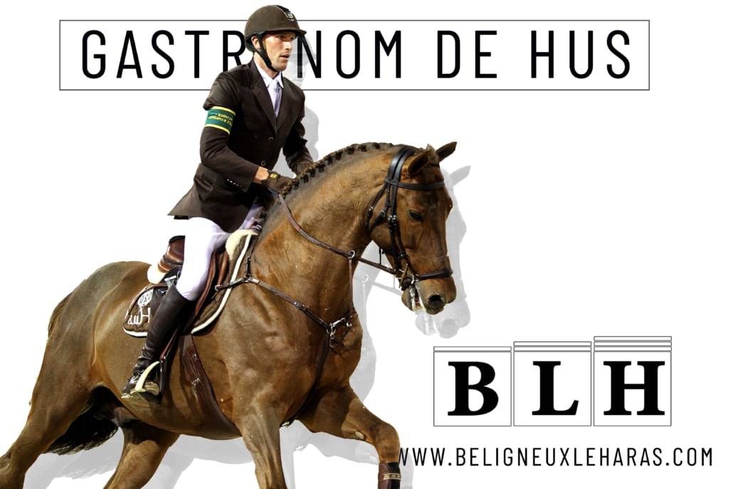 Gastronom de Hus - Zangersheide 1999 ,  Carthago Z