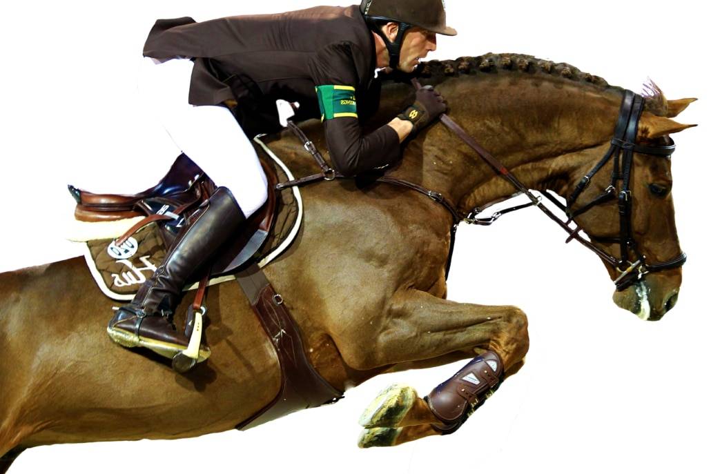 Gastronom de Hus - Zangersheide 1999 ,  Carthago Z