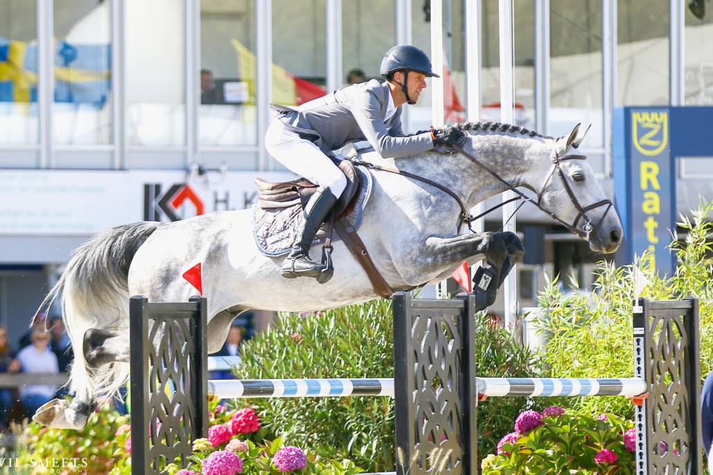 Mumbai - BWP Cavallo da Sangue Belgio 2012 ,  DIAMANT DE SEMILLY