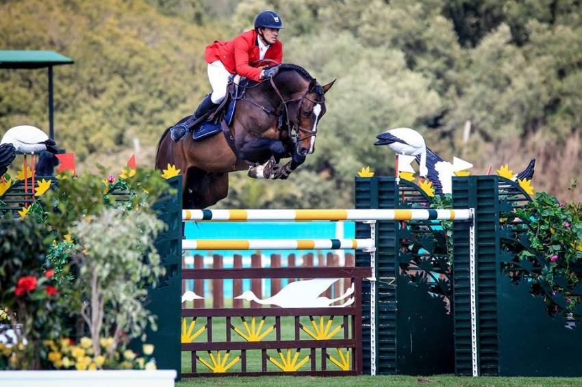 Quel Homme de Hus - Sella Francese 2006 ,  QUIDAM DE REVEL