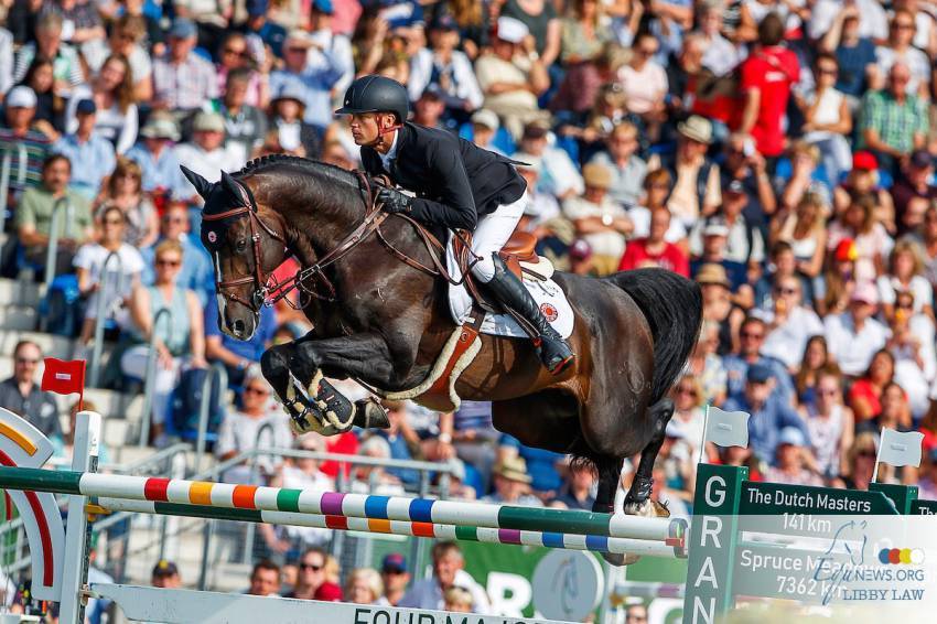 Quel Homme de Hus - Sella Francese 2006 ,  QUIDAM DE REVEL