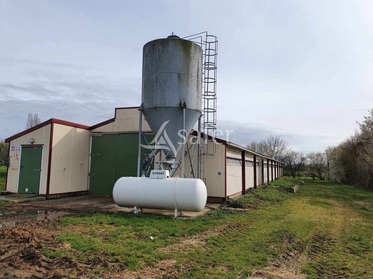 Azienda avicola In vendita Sarthe