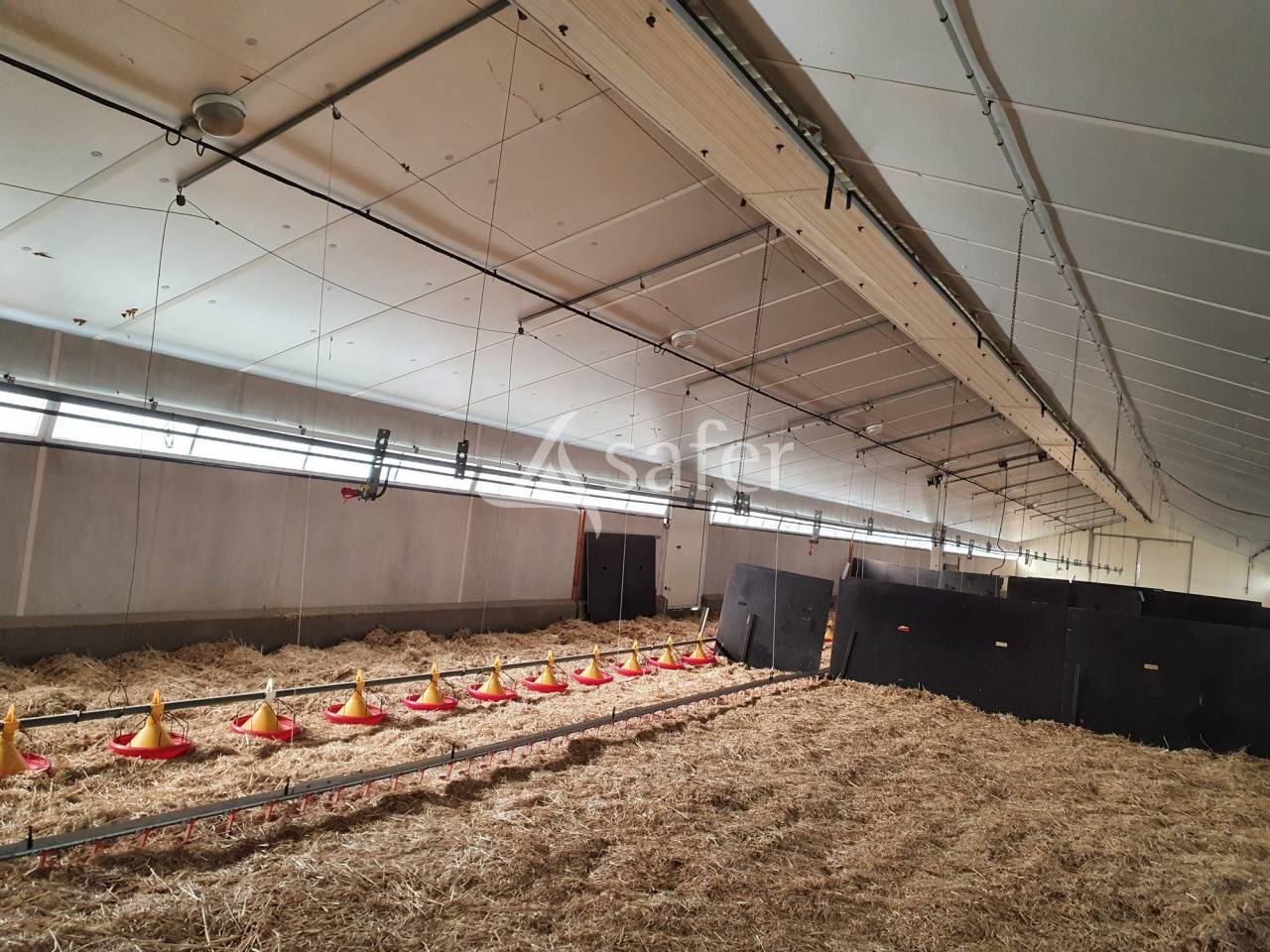 Azienda avicola In vendita Sarthe