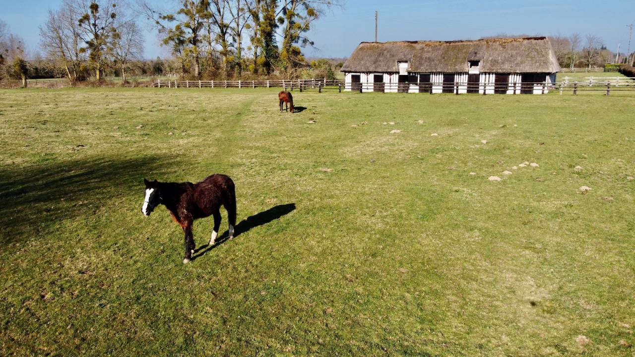Centro di stagione cavallo In vendita Calvados