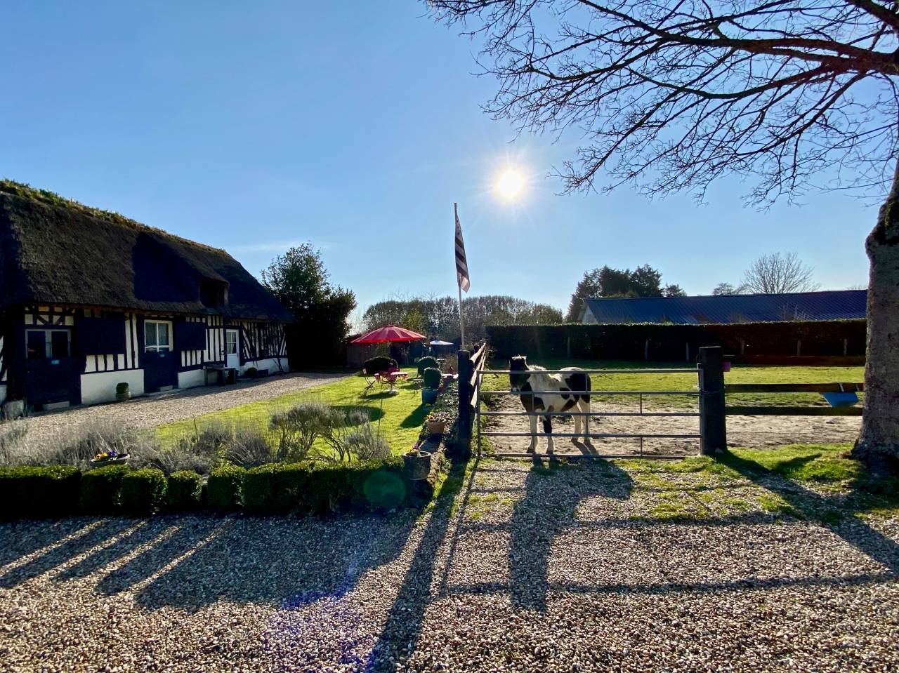 Centro di stagione cavallo In vendita Calvados