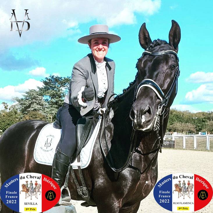 Barquero JF IV - PRE Andaluso 2014 ,  ESCOGIDO J F