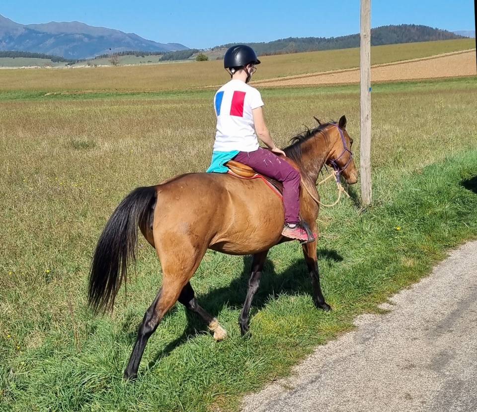Cavalla Akhal Teke In vendita 2019 Baio ,  Kemput AT