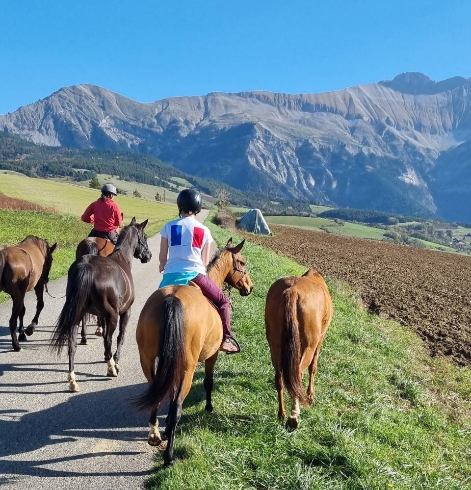Cavalla Akhal Teke In vendita 2019 Baio ,  Kemput AT