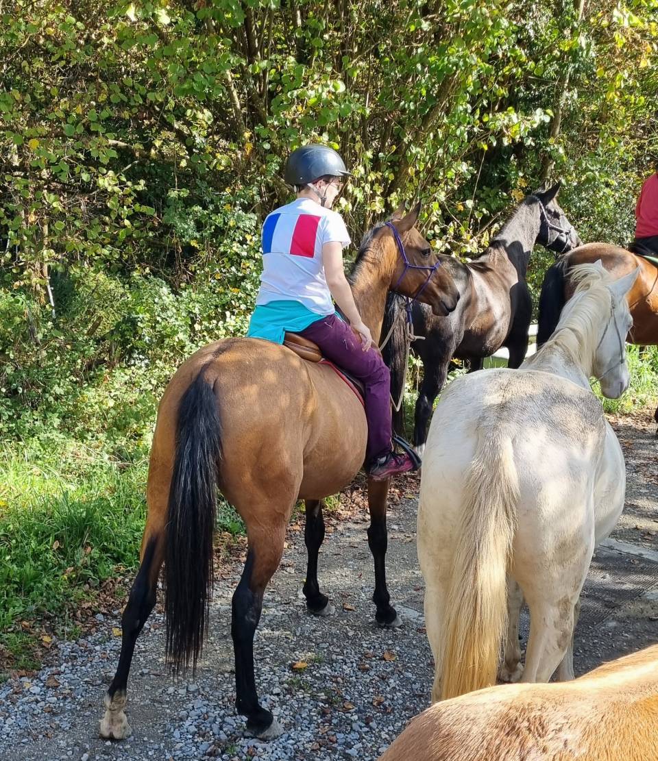 Cavalla Akhal Teke In vendita 2019 Baio ,  Kemput AT