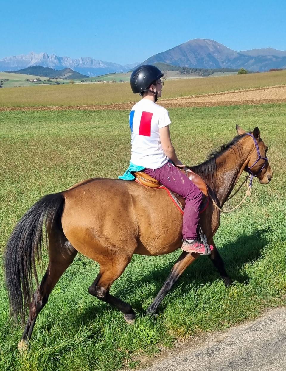 Cavalla Akhal Teke In vendita 2019 Baio ,  Kemput AT