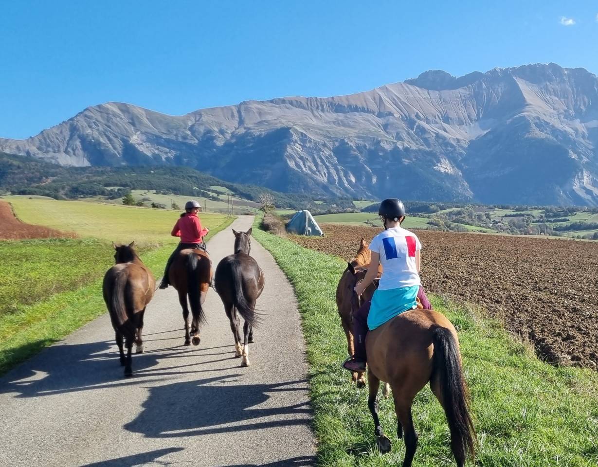Cavalla Akhal Teke In vendita 2019 Baio ,  Kemput AT