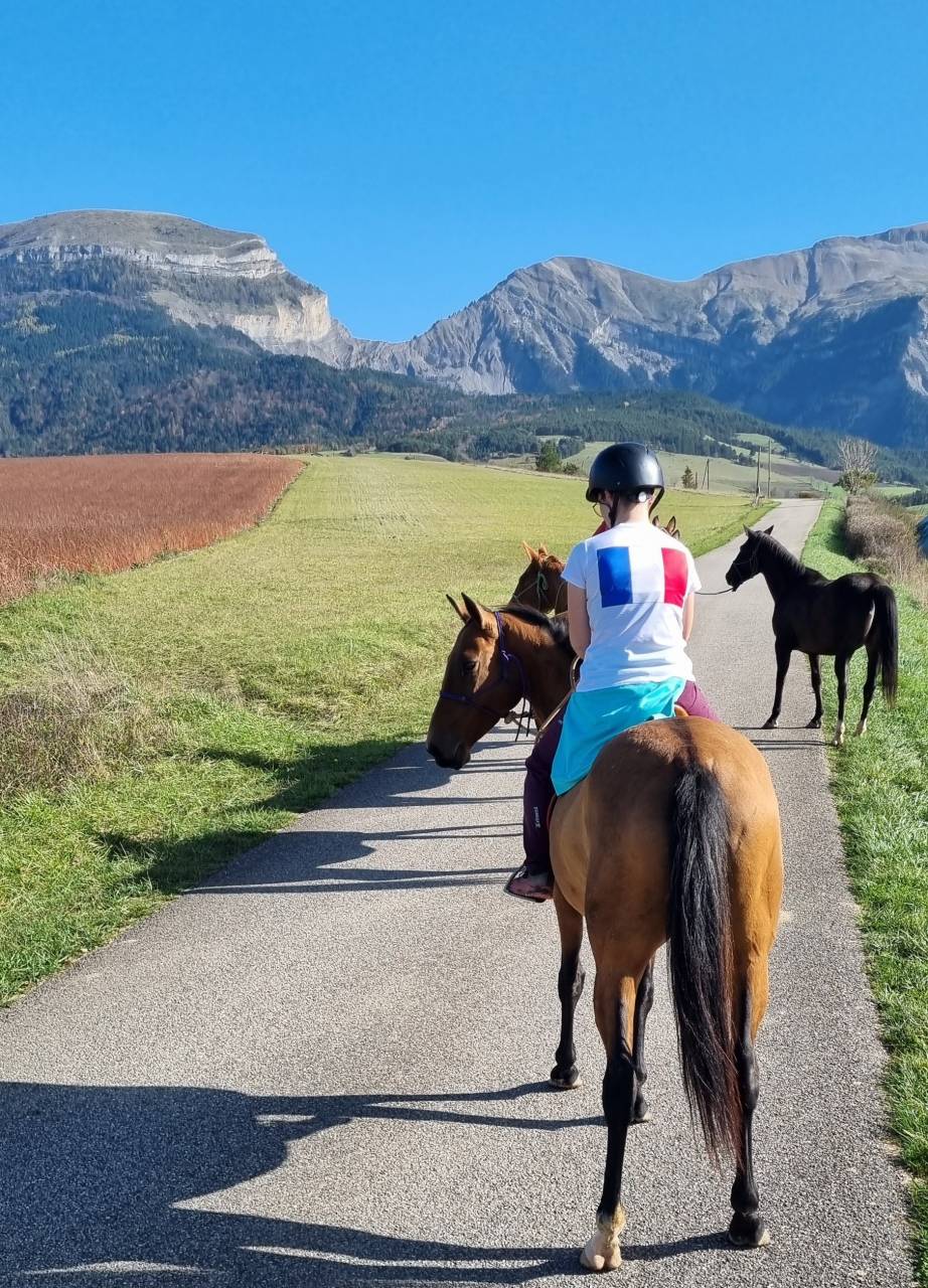 Cavalla Akhal Teke In vendita 2019 Baio ,  Kemput AT