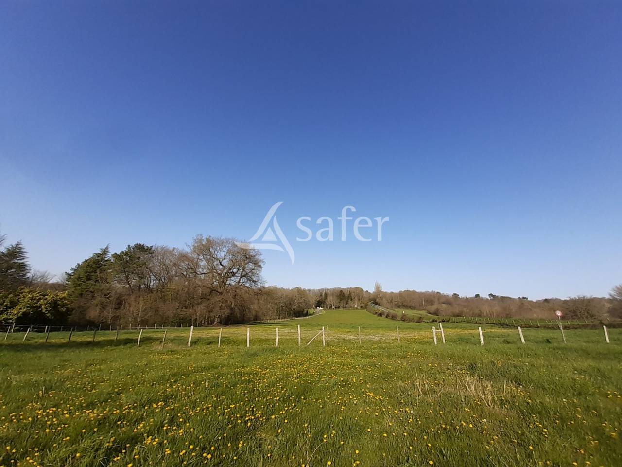 Azienda agricola In vendita Charente