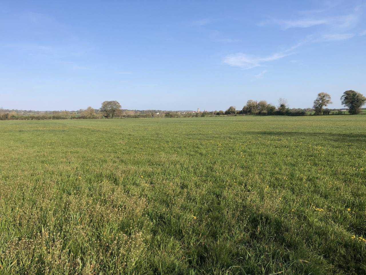 Scuderia di corsa In vendita Orne