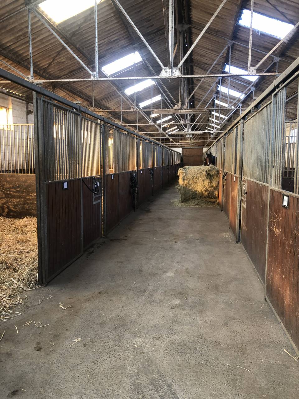 Scuderia di corsa In vendita Orne