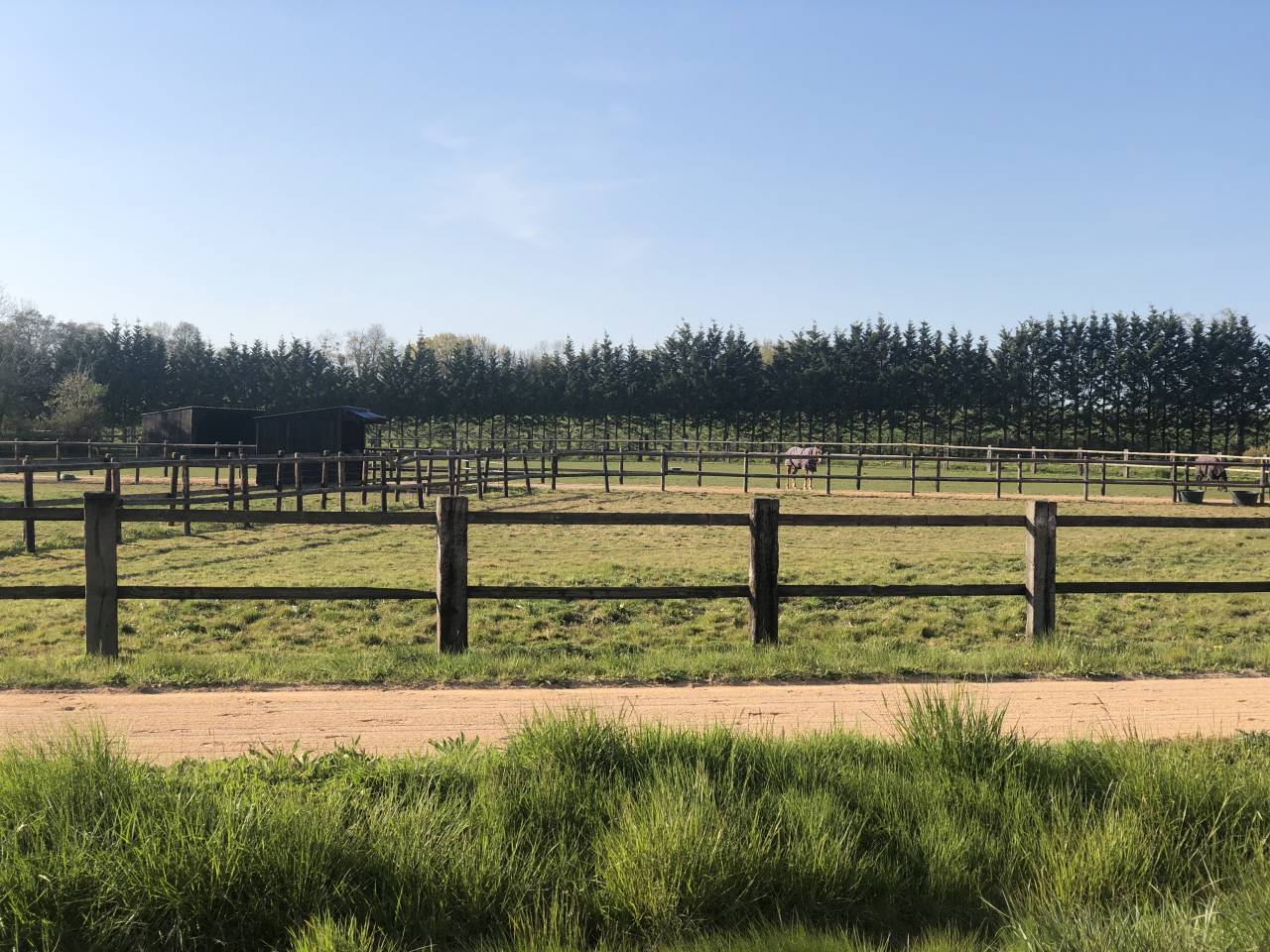 Scuderia di corsa In vendita Orne