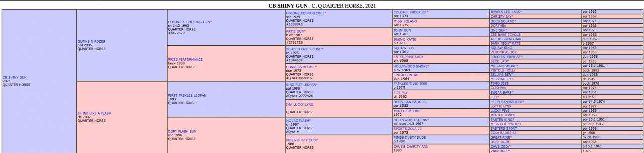 Puledro Quarter Horse In vendita 2021 Sorrel ,  GUNNS N ROZES
