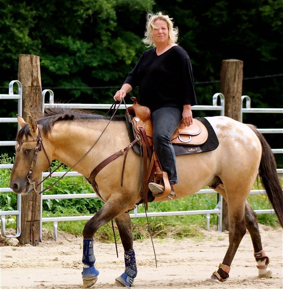 BOGIEPLATED Jac - Appaloosa 2001 ,  Tap N Bogie