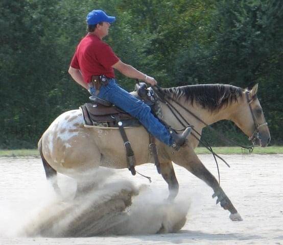 BOGIEPLATED Jac - Appaloosa 2001 ,  Tap N Bogie