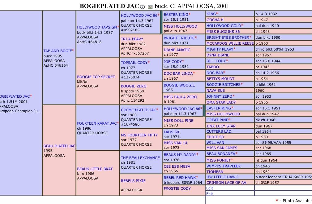 BOGIEPLATED Jac - Appaloosa 2001 ,  Tap N Bogie