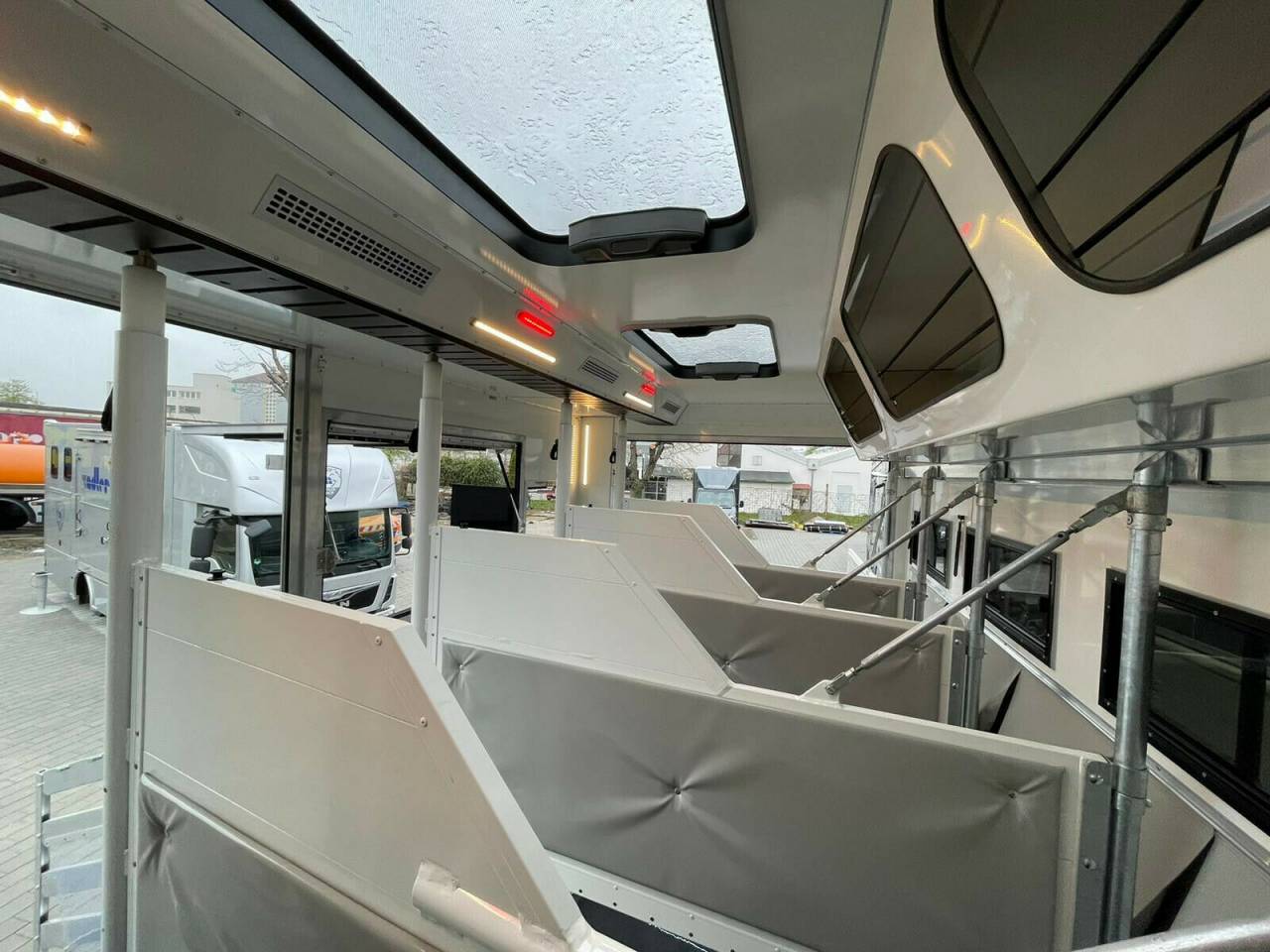 Camion per Cavalli Man MAN 0 Nuovo