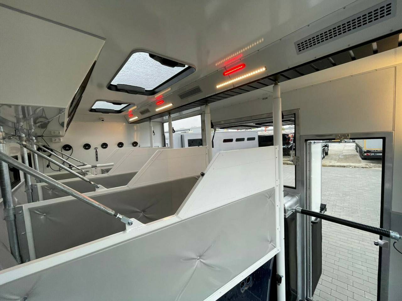 Camion per Cavalli Man MAN 0 Nuovo