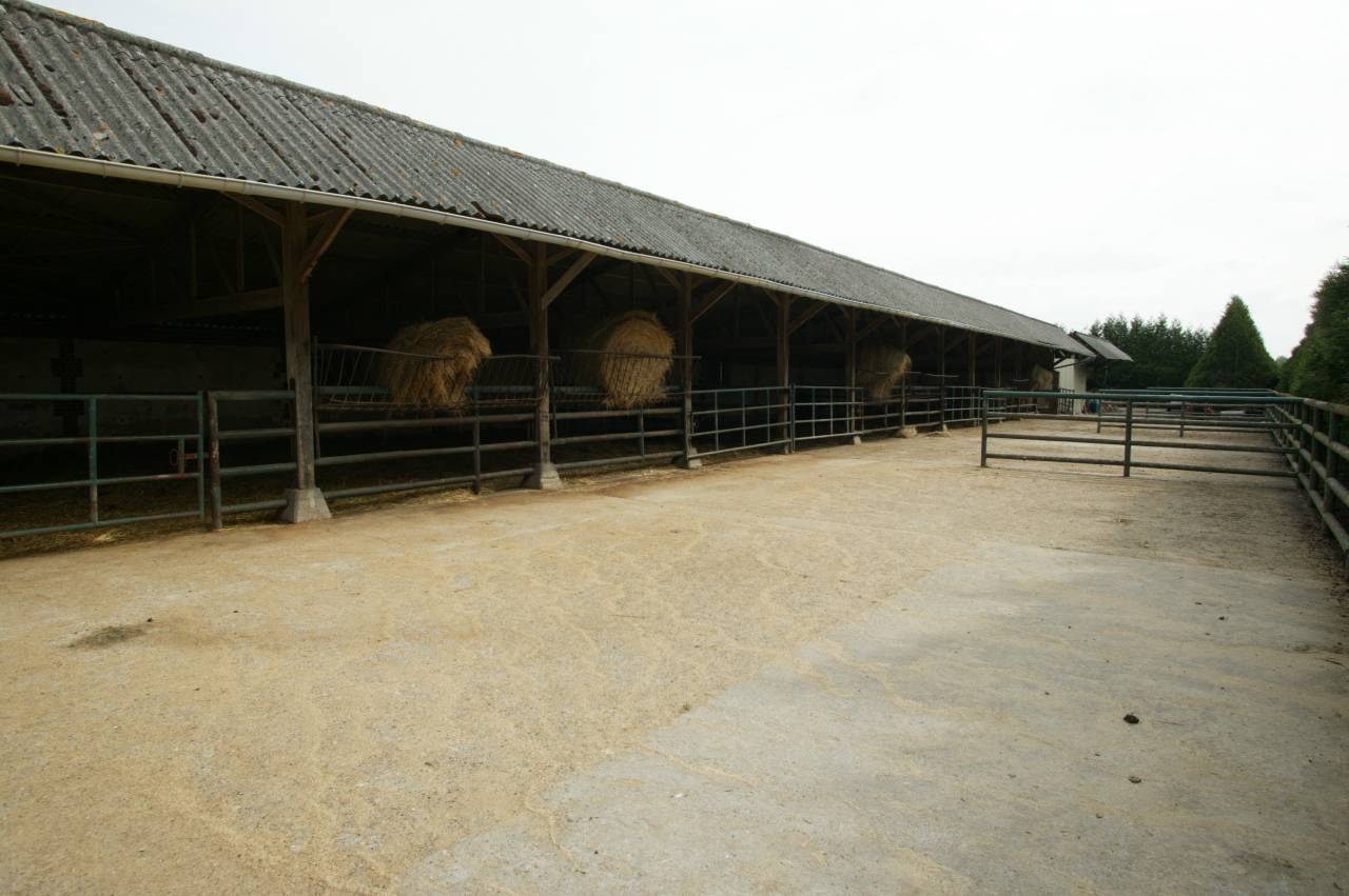 Centro di stagione cavallo In vendita Calvados