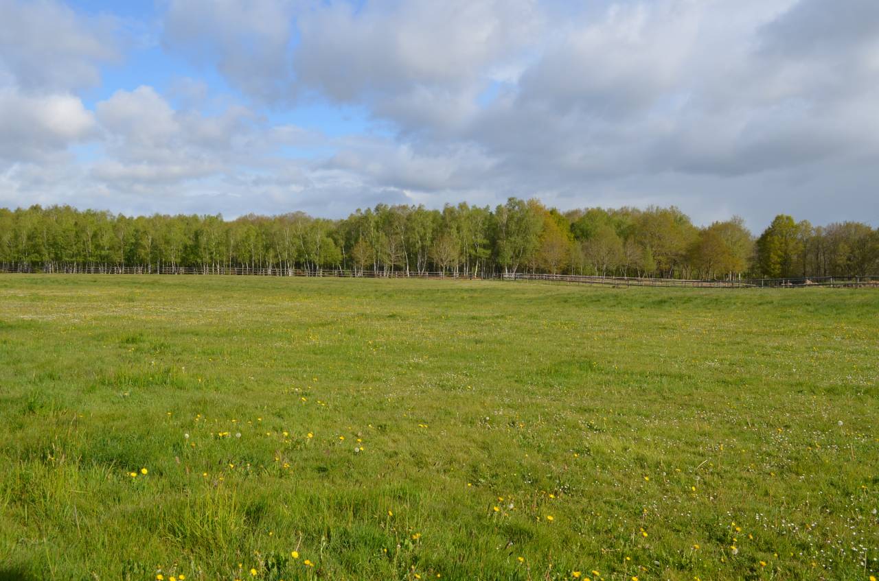Centro di stagione cavallo In vendita Calvados