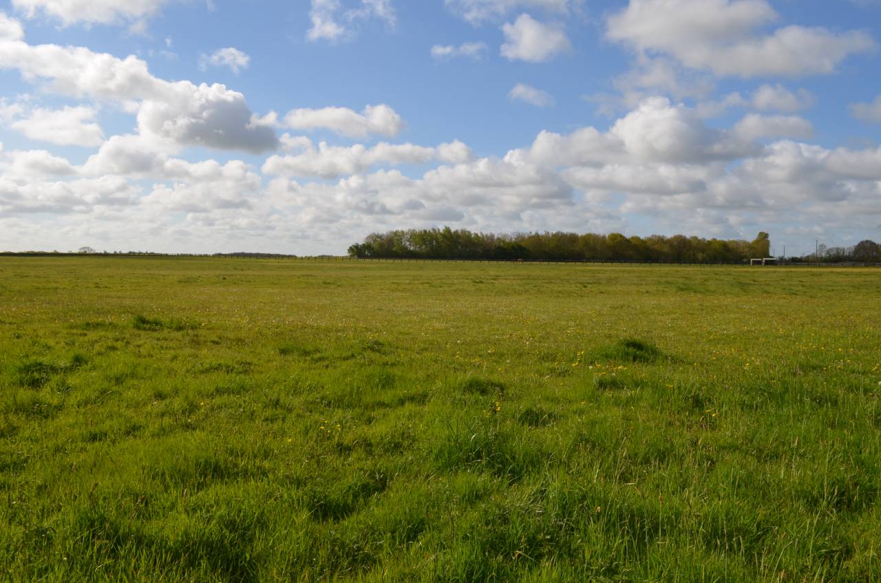 Centro di stagione cavallo In vendita Calvados