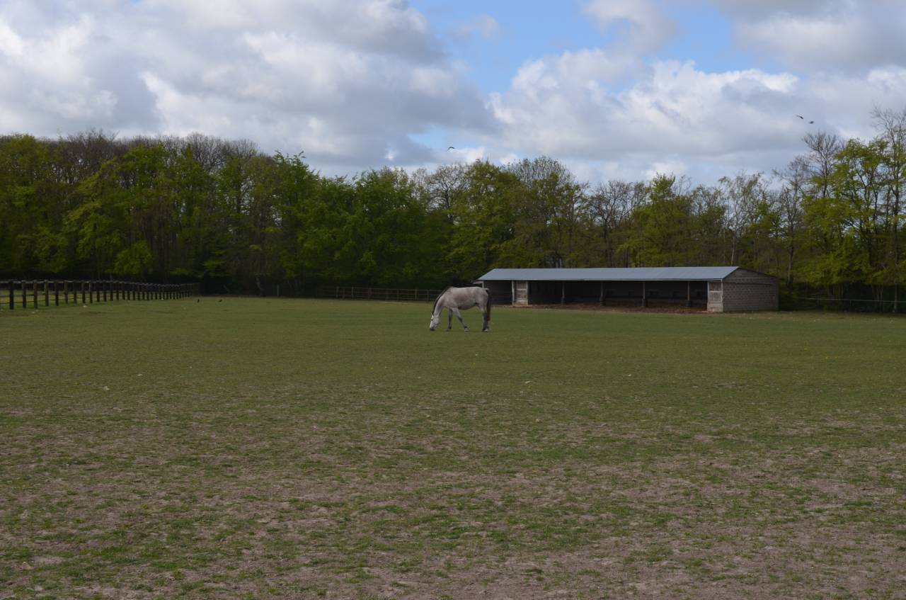 Centro di stagione cavallo In vendita Calvados