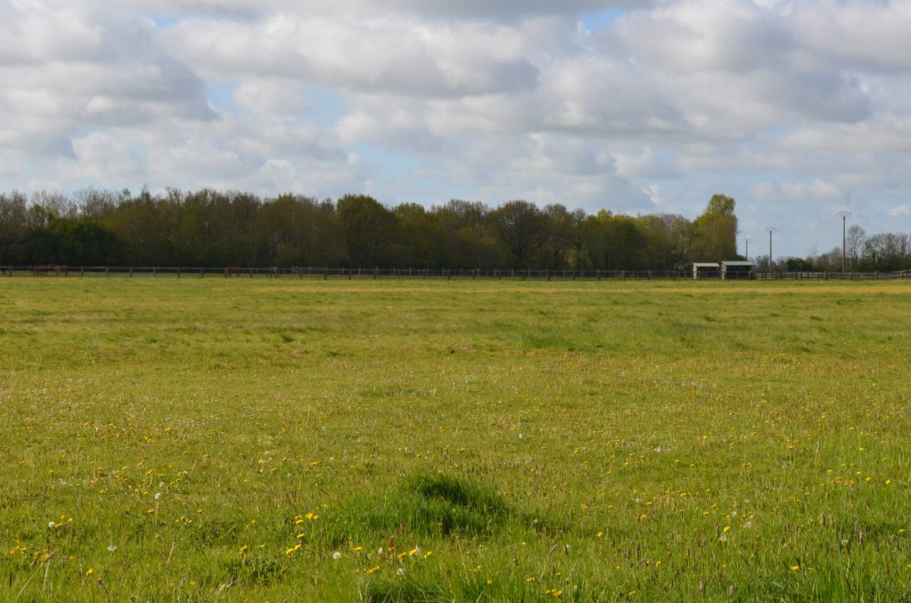 Centro di stagione cavallo In vendita Calvados