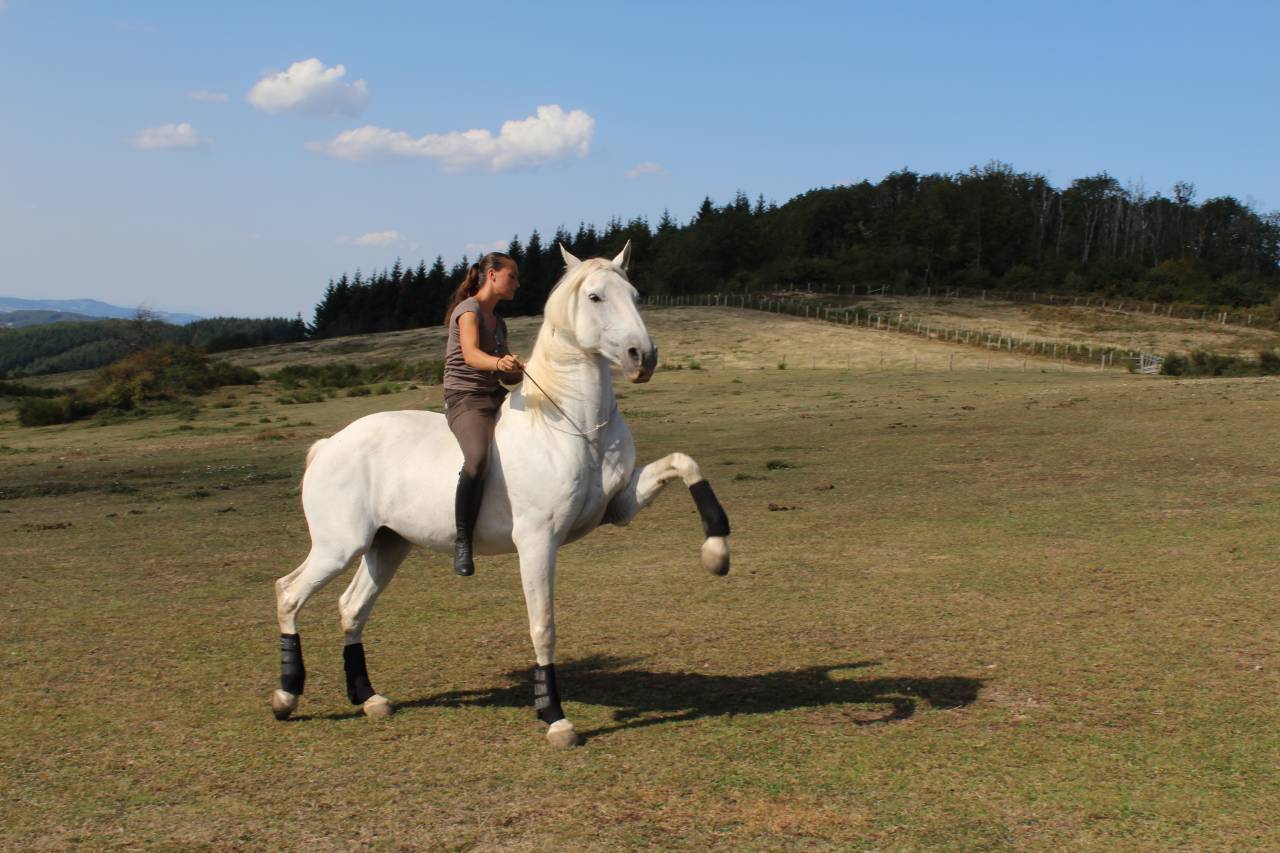 Apprendista - Apprendista Tempo pieno - Rhône Francia